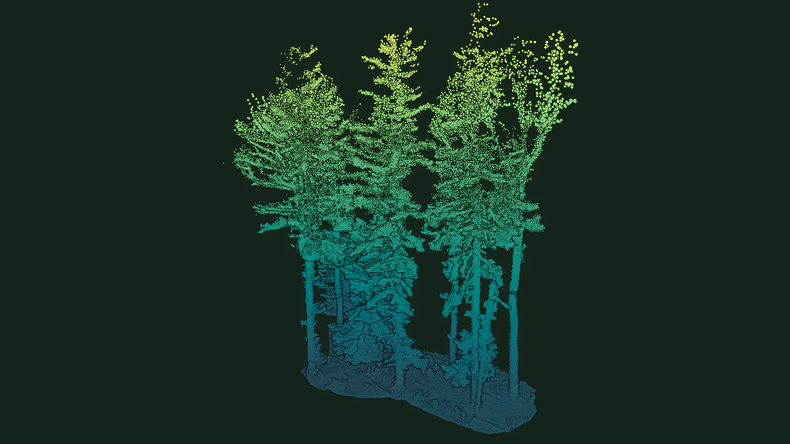 Still of the 3DTreePrint point cloud